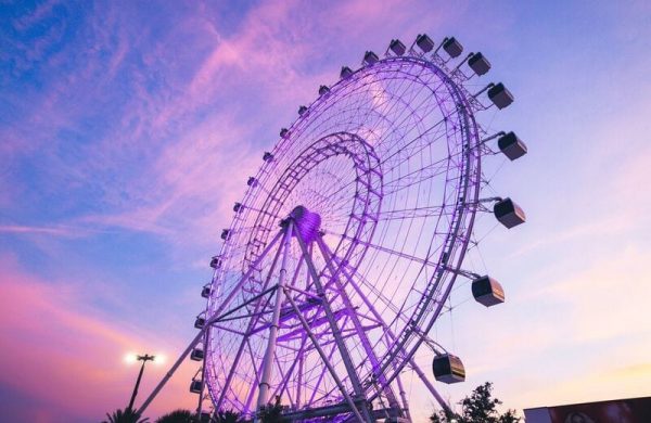 Icon-Park-Wheel_Purple-Sunset