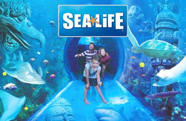 SeaLife-Acuarium-Orlando-1000px
